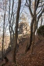 Autumn forest with rocks, fallen leaves and clear sky in Sulovske skaly mountains in Slovakia