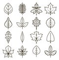 Autumn and summer tree leaves icons set Royalty Free Stock Photo