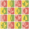 Autumn and summer tree leaves icons set half Royalty Free Stock Photo