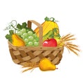 autumn and summer vegetables in a basket grapes pumpkins wheat pear thanksgiving day