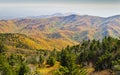 Autumn from the Summit of Mount Mitchell