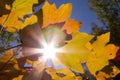 Autumn sun_2 bakgraund boati teaf Royalty Free Stock Photo