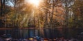 Autumn sun rays sunbeam appear trought the beautiful tree branches and leaves in a city park with a pond in the front of Royalty Free Stock Photo