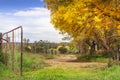 Autumn sundappled gravel road with gate open