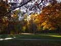 Autumn sunny day in city park. Colorful leaves in sun light. Beautifull background nature scene. Royalty Free Stock Photo