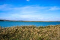 Autumn shore of a large reservoir