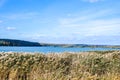 Autumn shore of a large reservoir