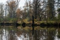 Autumn, sunny day, Olomouc Royalty Free Stock Photo