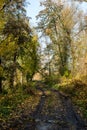 Autumn, sunny day, Olomouc Royalty Free Stock Photo