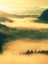 Autumn sunrise. Beautiful mountain of Bohemia. Treetops and peaks of hills increased from yellow and orange fog striped due to str Royalty Free Stock Photo