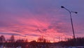 In the autumn, before sunrise, the cloudy sky over the city is colored bright red and pink. Trees grow on the city street, lightin Royalty Free Stock Photo