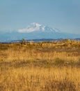 Autumn sunrise in countryside with golden foliage on the meadow in weathered grass, Mountain Baker at the distance Royalty Free Stock Photo