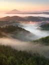 Autumn sunrise forest, fall colorful valley full of dense mist