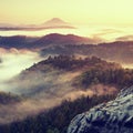 Autumn sunrise forest, fall colorful valley full of dense mist