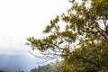 Autumn sunrise in La Vall D En Bas, La Garrotxa, Spain