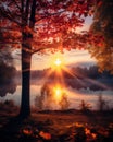 autumn sunrise over a lake with trees and leaves