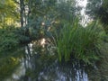 Autumn sunrise on the River Itchen - a famous chalk bed stream renowned for fly fishing - between Ovington and Itchen Abbas in Royalty Free Stock Photo