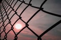 autumn sunrise shining through the metal chain link fence background texture Royalty Free Stock Photo