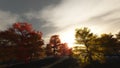 Autumn Sunrise Royalty Free Stock Photo