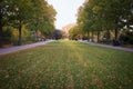 Autumn sunset at Botanical Garden in Queens, New York City Royalty Free Stock Photo