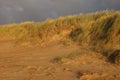 Autumn sunset - Heacham sand dunes