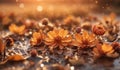 Autumn sunset landscape nature background. Dried flowers with water drops after the rain. Selective focus