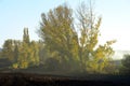 Autumn sunset in a meadow in Burgos Royalty Free Stock Photo