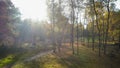 Autumn sunset in a Misty Forest. Royalty Free Stock Photo