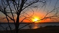 Autumn sunset over river shore shot through bare tree branches. Fall travel and relaxation Royalty Free Stock Photo