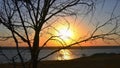 Autumn sunset over river shore shot through bare tree branches. Fall travel and relaxation Royalty Free Stock Photo