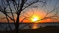 Autumn sunset over river shore shot through bare tree branches. Fall travel and relaxation Royalty Free Stock Photo