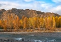 Autumn sunset scene on riverside