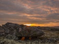 Autumn sunset in the tundra.The rays of the sun illuminate a large stone.