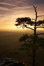 Autumn sunset view over sandstone rocks to fall colorful valley. Foggy and misty daybreak on the sandstone view point Royalty Free Stock Photo