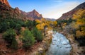 Autumn Sunset on the Watchman and River, Zion National Park, Utah Royalty Free Stock Photo