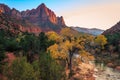 Autumn Sunset on the Watchman and River, Zion National Park, Utah Royalty Free Stock Photo