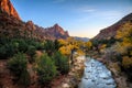 Autumn Sunset on the Watchman and River, Zion National Park, Utah Royalty Free Stock Photo