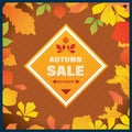 Autumn Super Sale banner with leaves.