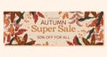 Autumn Super Sale horizontal banner template design with copy space. Frame with maple leaf and orange berry, red and