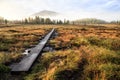 Autumn in Sweden Royalty Free Stock Photo