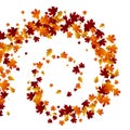 Autumn swirl leaves. Royalty Free Stock Photo