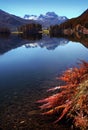 Autumn swiss lake
