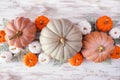 Autumn table scene of pumpkins of various sizes and colors with frosty leaves over rustic white wood