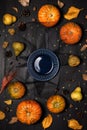 Autumn table setting with empty white plate and pumpkins Royalty Free Stock Photo