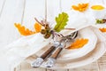 Autumn table setting Royalty Free Stock Photo