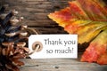 Autumn Tag with Thank You so much Royalty Free Stock Photo