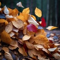 Autumn tapestry Colorful leaves create a vibrant seasonal ground