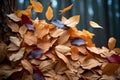 Autumn tapestry Colorful leaves create a vibrant seasonal ground