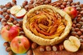 Autumn tart on the wooden board decorated with fresh apples, hazelnuts and spices - anise stars and cinnamon on the gray table Royalty Free Stock Photo