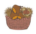 Autumn taste - Chestnuts in the basket Royalty Free Stock Photo